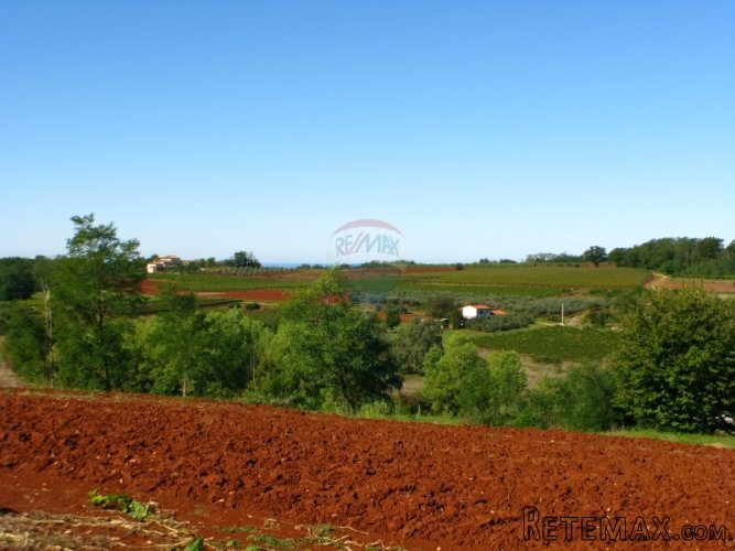 VIŽINADA, GRAĐEVINSKA PARCELA 5000 M2 S PREKRASNIM POGLEDOM - 4