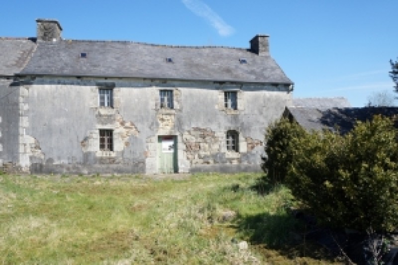 Large Rural Property to Restore