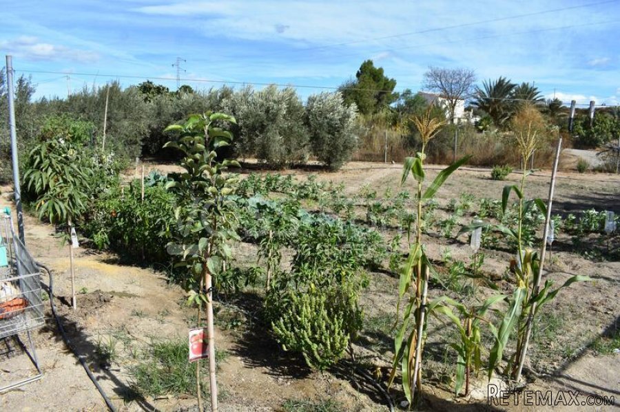 Casita of Appoximetely 50m2 with 2,900m2 of fenced land.. - 6