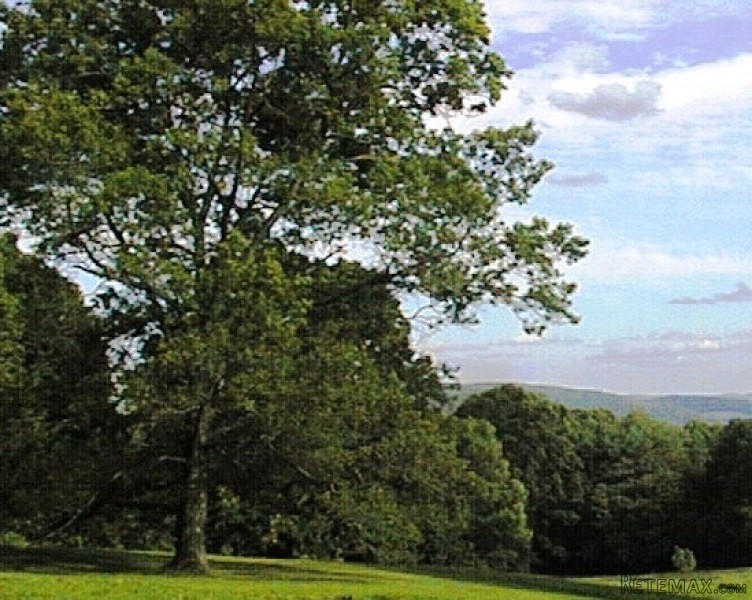 Land For Sale: 288 Sawchuck Road..