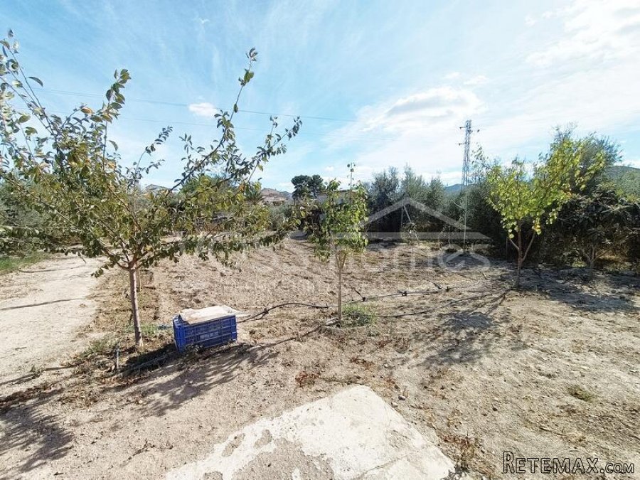 Casita of Appoximetely 50m2 with 2,900m2 of fenced land.. - 7