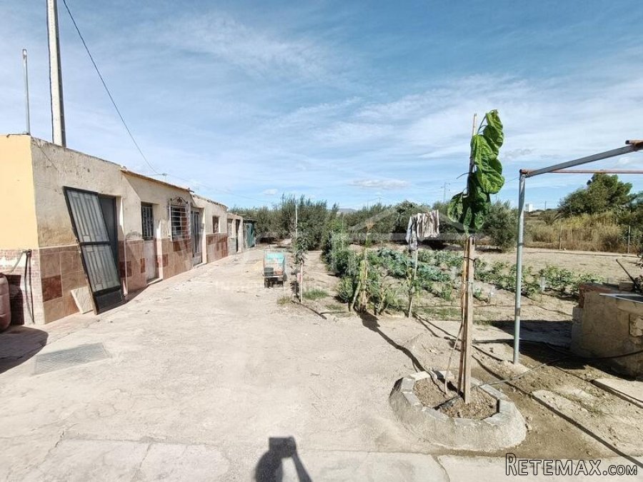 Casita of Appoximetely 50m2 with 2,900m2 of fenced land.. - 8