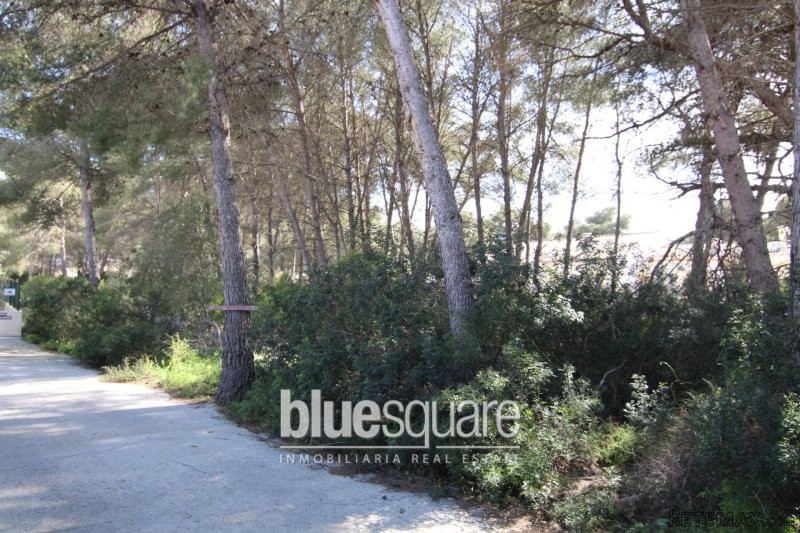 Good size building plot in Javea