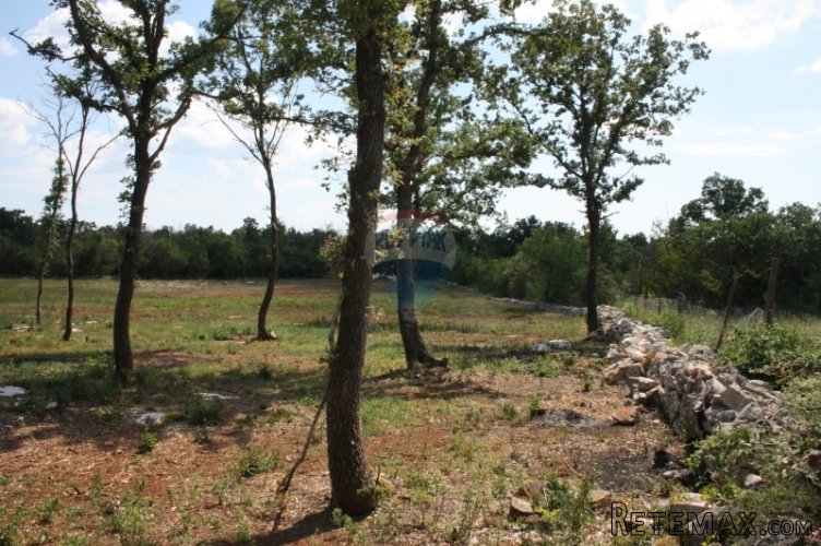 Rovinj, Valade, poljoprivredno zemljište 48211 m2 - 4
