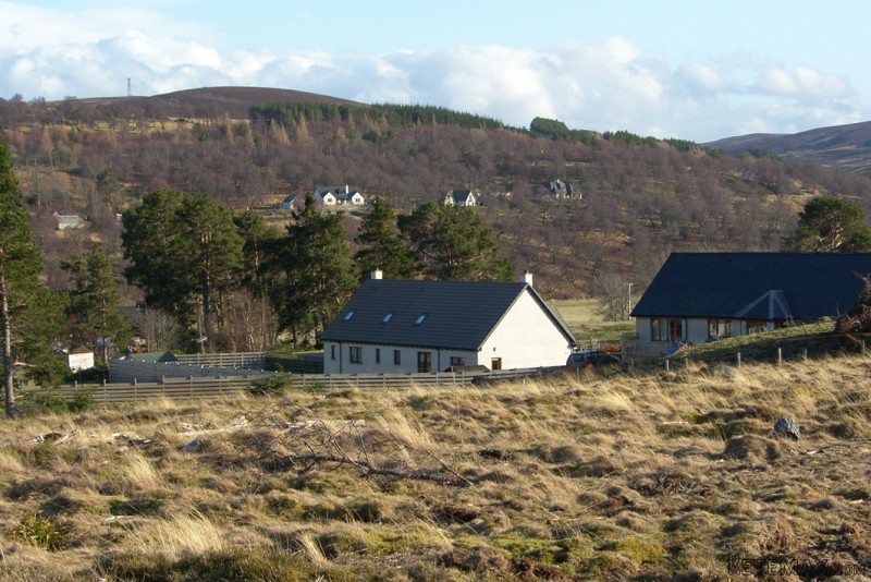 Hazelbank Plots, Tomatin - 2