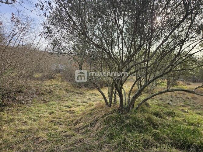 Otok Krk, Soline, 1.000m2 građevinskog zemljišta - 2