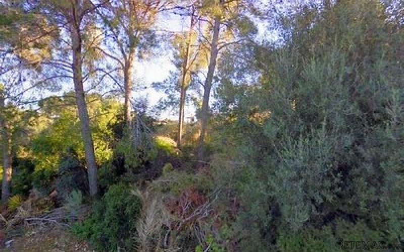 IP2-2804 - Plot For sale in Costa de la..