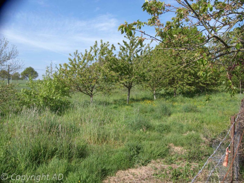 Soulles - House For Sale - 2