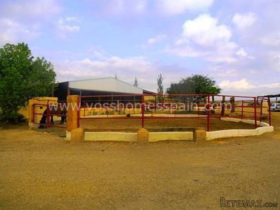 Horse stable with a bar/restaurant , Built very recently in.. - 6