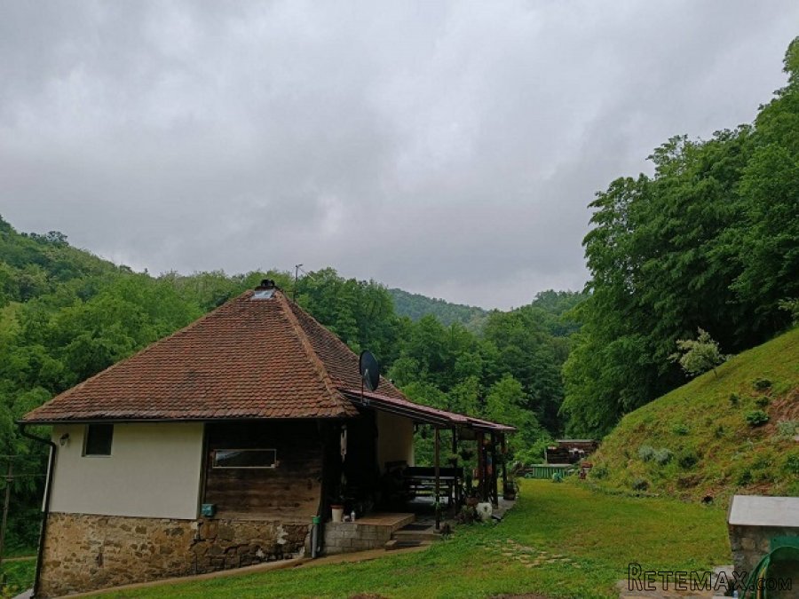 Kuca kljuc u ruke sa plantazom borovnice - 11