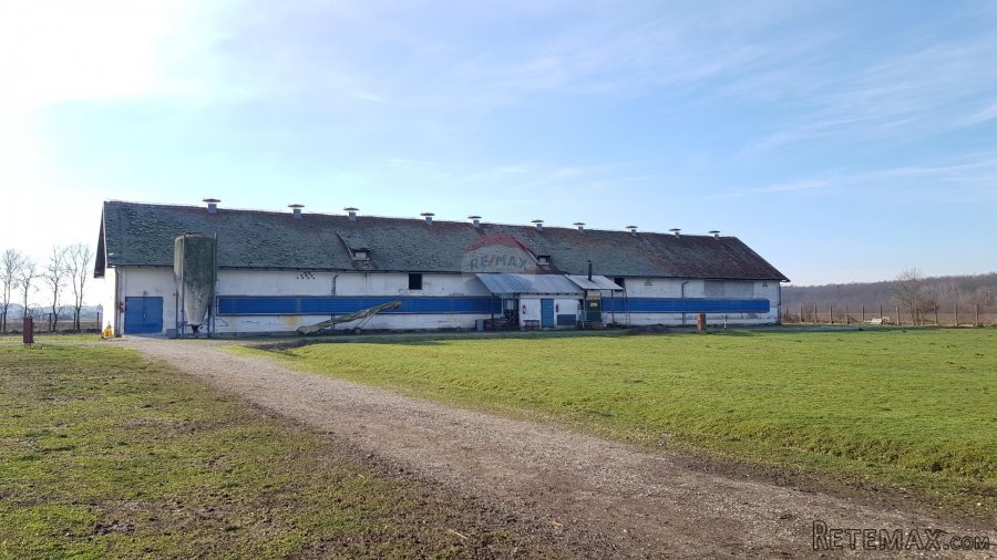 Velika Gorica, okolica, farma peradi, poljoprivredno zemljiš - 2