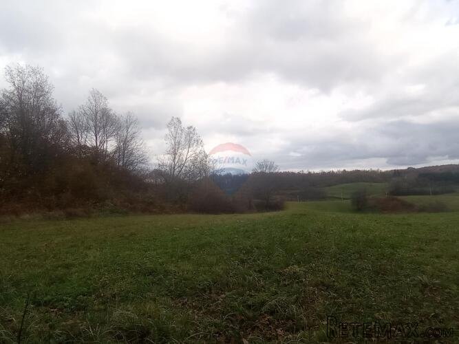 Ogulin-Donje Dubrave, zemljište 11660 m2 - 3
