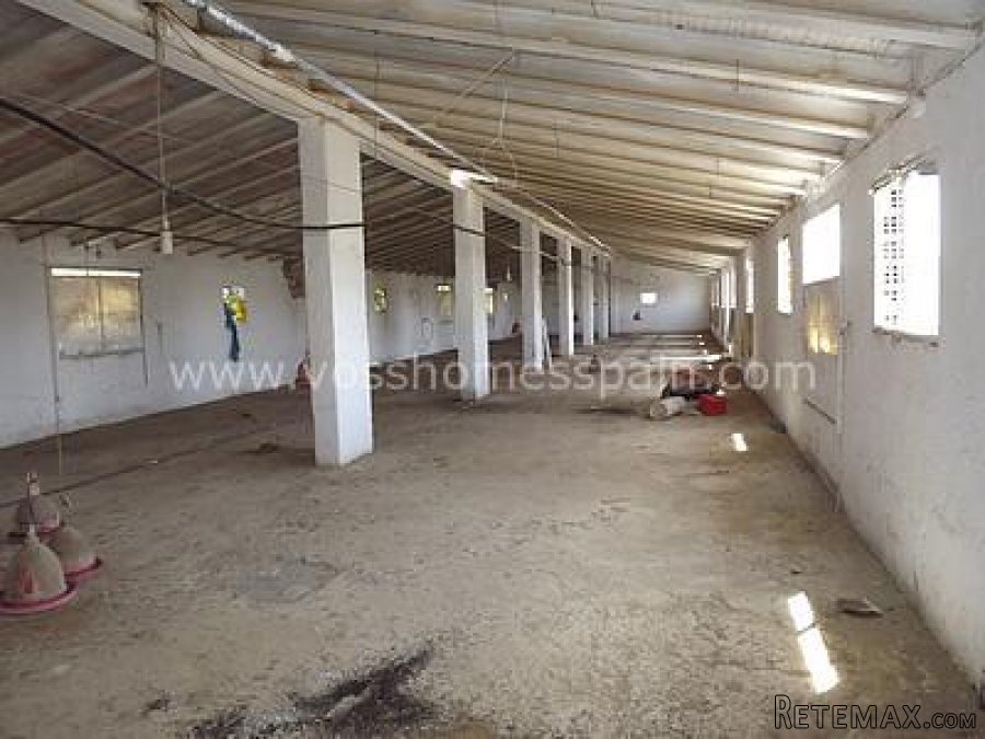 Warehouse of 500m2, divided in two levels, also with a plot.. - 3