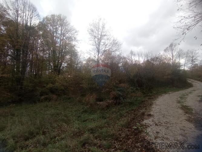 Ogulin-Donje Dubrave, zemljište 11660 m2 - 4