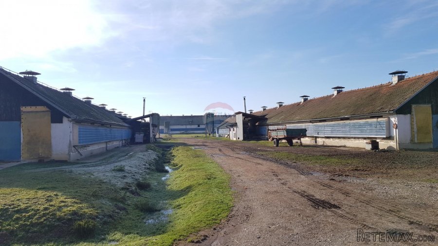 Velika Gorica, okolica, farma peradi, poljoprivredno zemljiš - 4