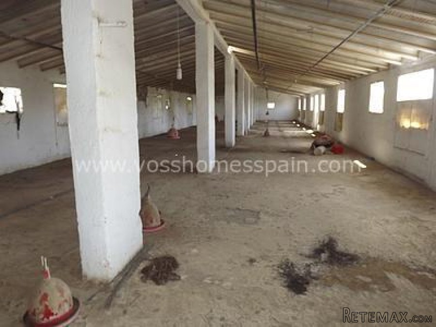 Warehouse of 500m2, divided in two levels, also with a plot.. - 4