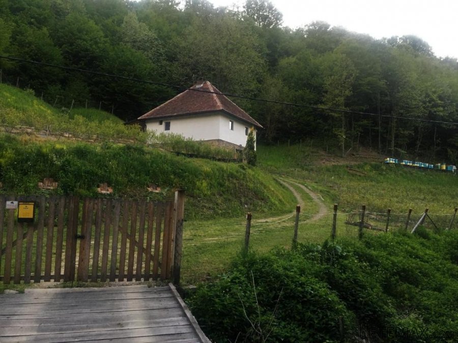 Kuca kljuc u ruke sa plantazom borovnice - 15