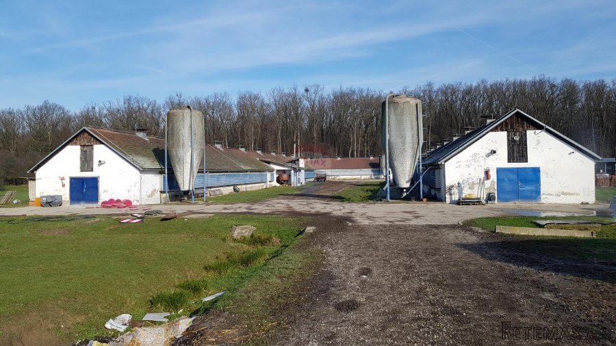Velika Gorica, okolica, farma peradi, poljoprivredno zemljiš - 5