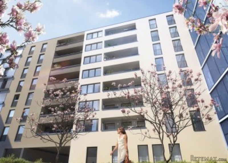 Exclusive 2 Rooms Property For Sale In..