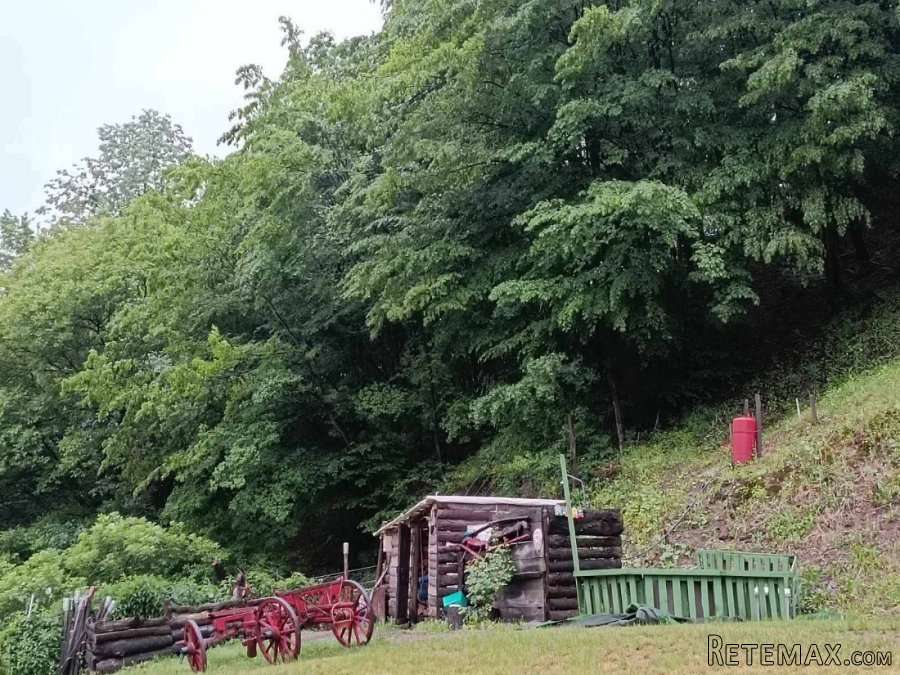 Kuca kljuc u ruke sa plantazom borovnice - 19