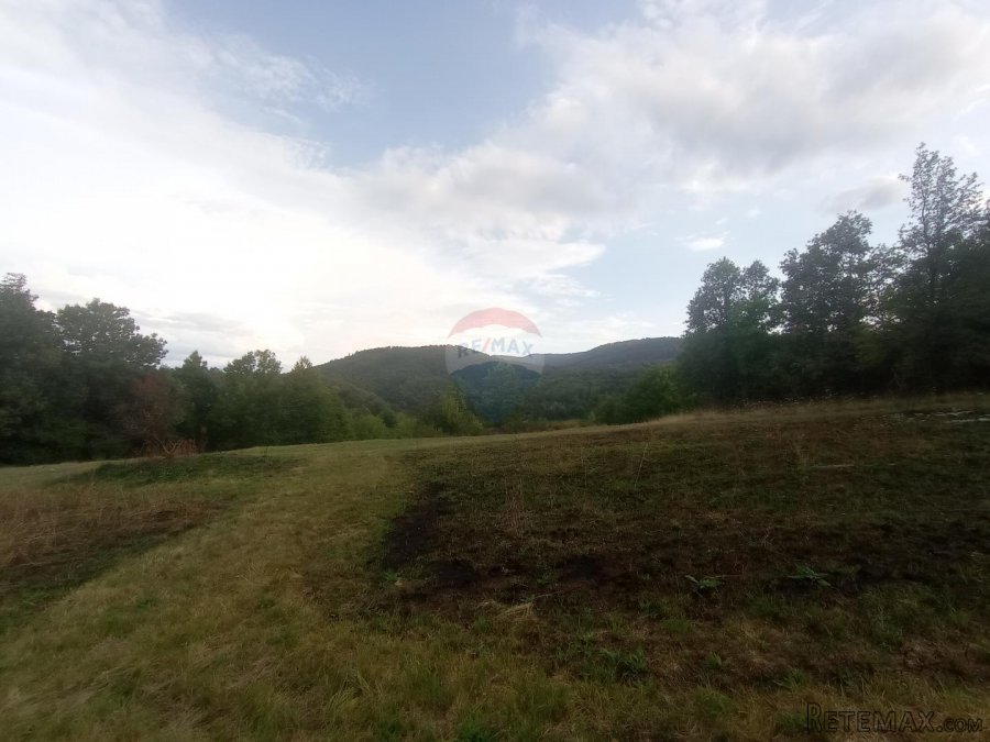 Vrbovsko, Trnova Poljana, poljoprivredno zemljište 5947 m2