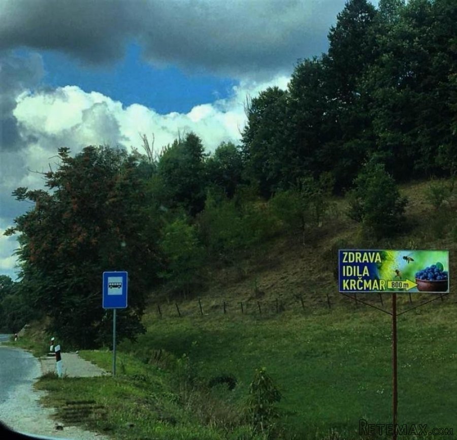 Kuca kljuc u ruke sa plantazom borovnice - 21