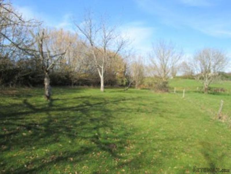 Nice Country Property with Outbuildings - 2