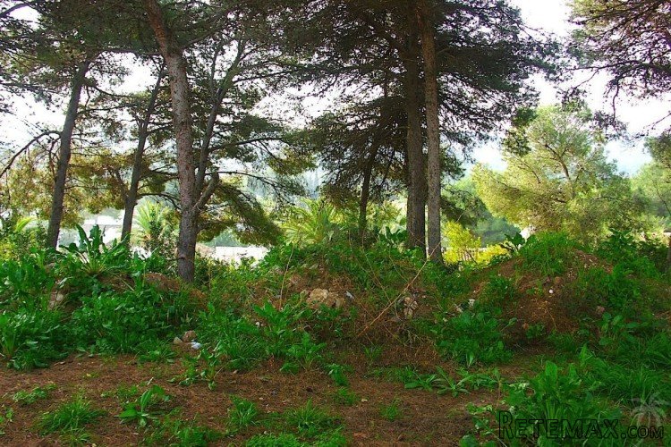 Great opportunity! Building plot of 1100 m2, facing south.. - 2