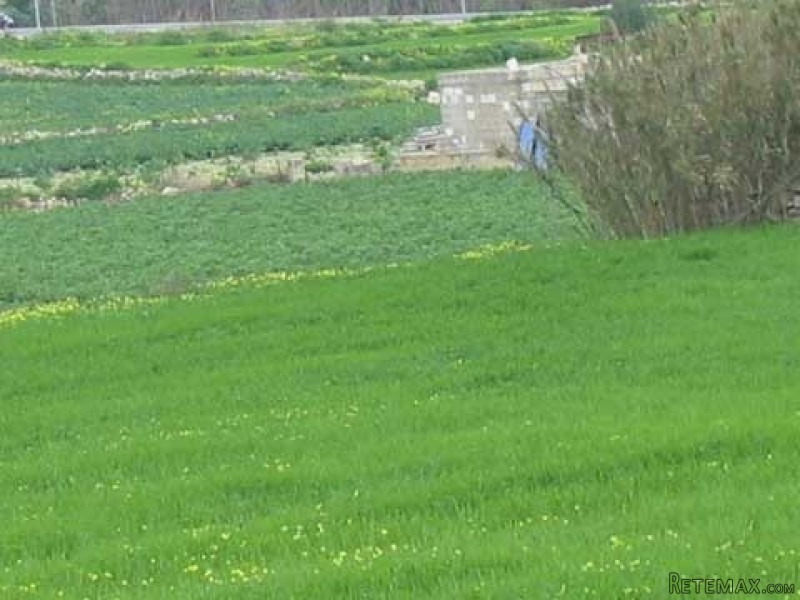 Land / Fields, Unconverted