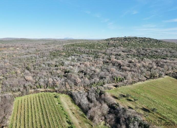 Poljoprivredno zemljište u blizini Bala 6052m2 - 3