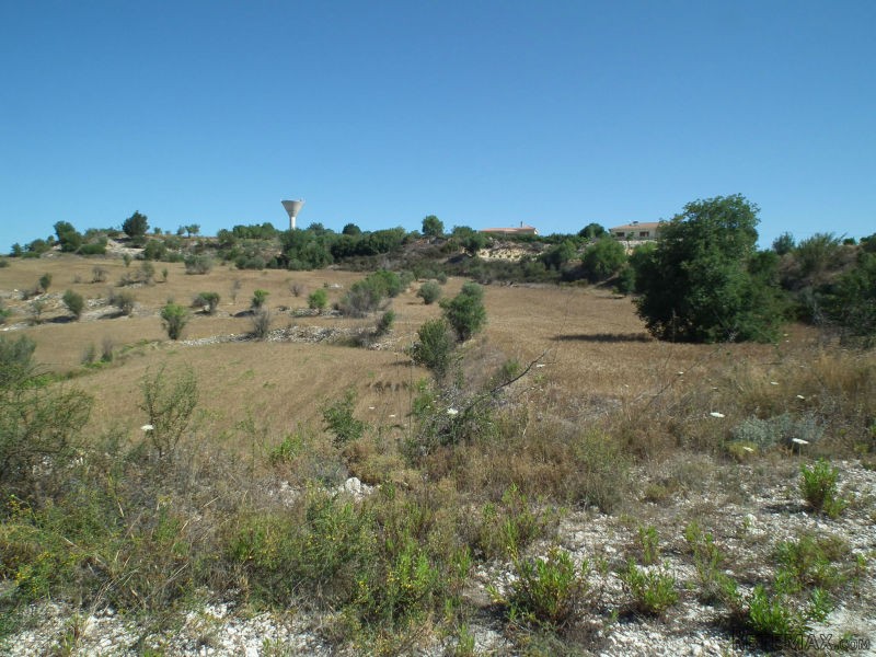 Land - Paphos - For Sale