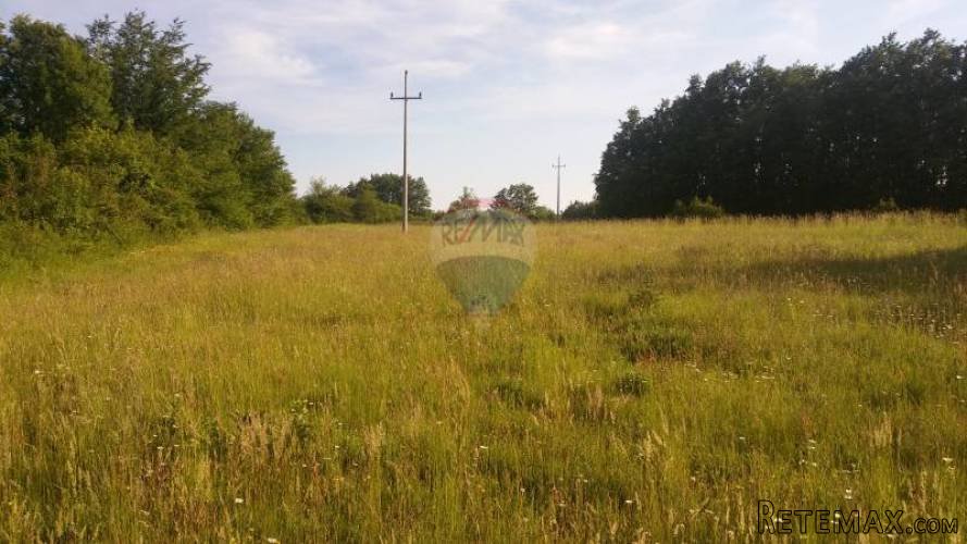 Pazin, okolica, građevinsko zemljište na osami - 2