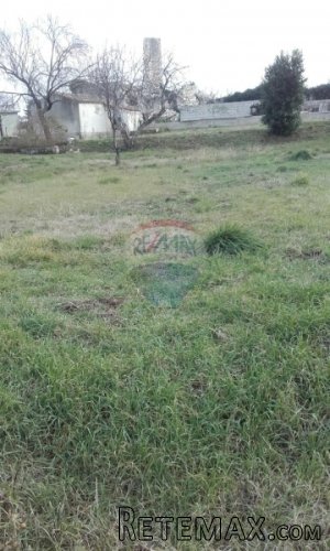 ISTRA, BRATULIĆI, građevinsko zemljište uz asfalt - 3