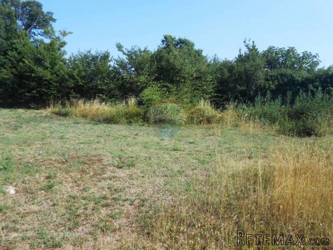 Istra, Vodnjan, građevinsko zemljište na poželjnoj lokaciji - 4