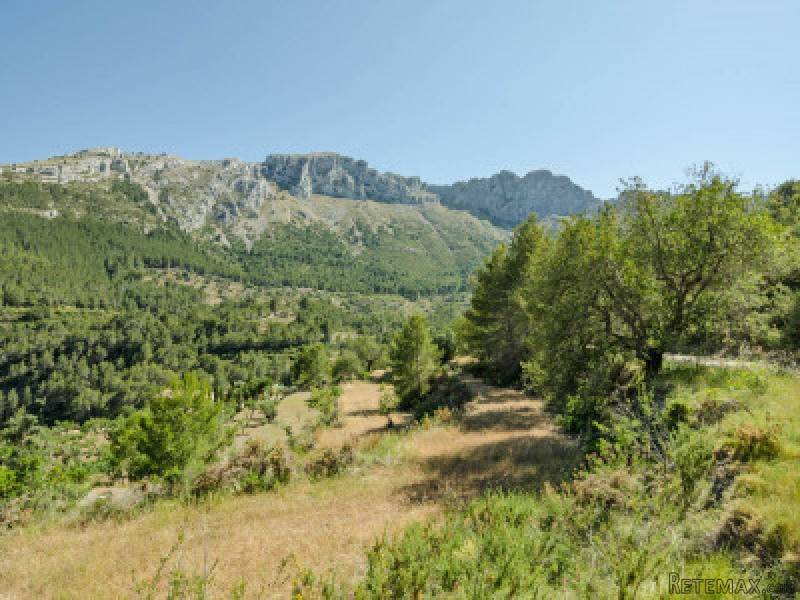 - Property - Alicante - For Sale - 2