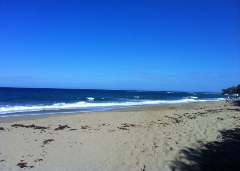 Cabarete Investment Oceanfront..