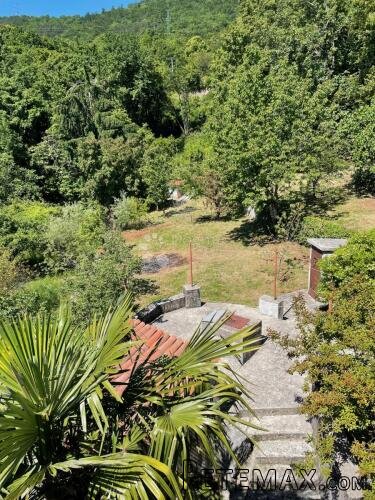 Komadić raja koji traži pažnju - 3