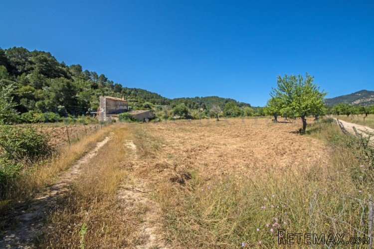 Excellent large plot with ruin which can either be reformed.. - 4