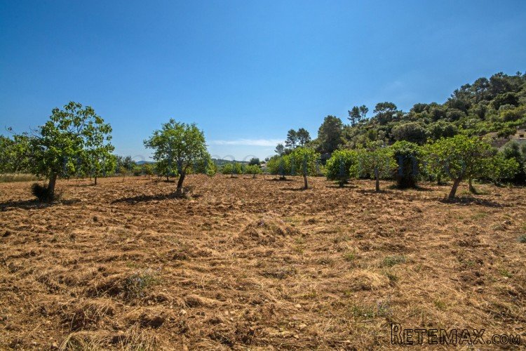 Excellent large plot with ruin which can either be reformed.. - 5