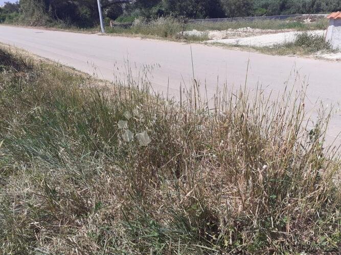 Bibinje- Građevinsko zemljište nedaleko Marine Dalmacija - 2