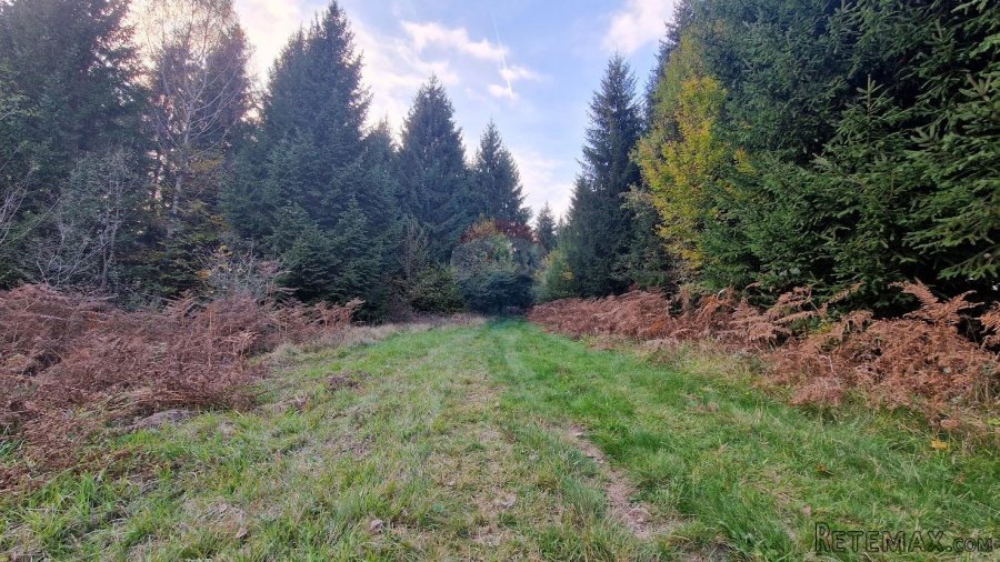 Gorski Kotar-Vrbovsko/poljoprivredni teren 5.200 m2 - 2