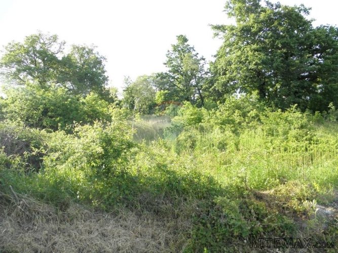Središnja Istra, građevinski teren za izgradnju 3 vile s... - 5