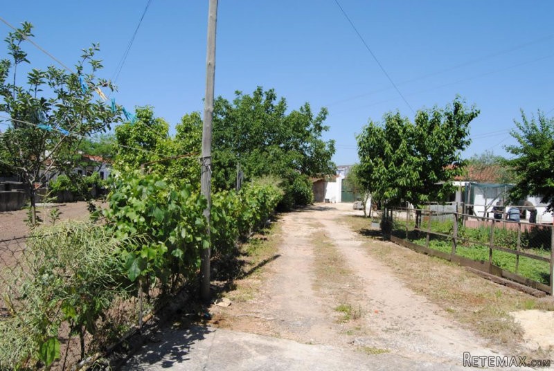Farm - 2