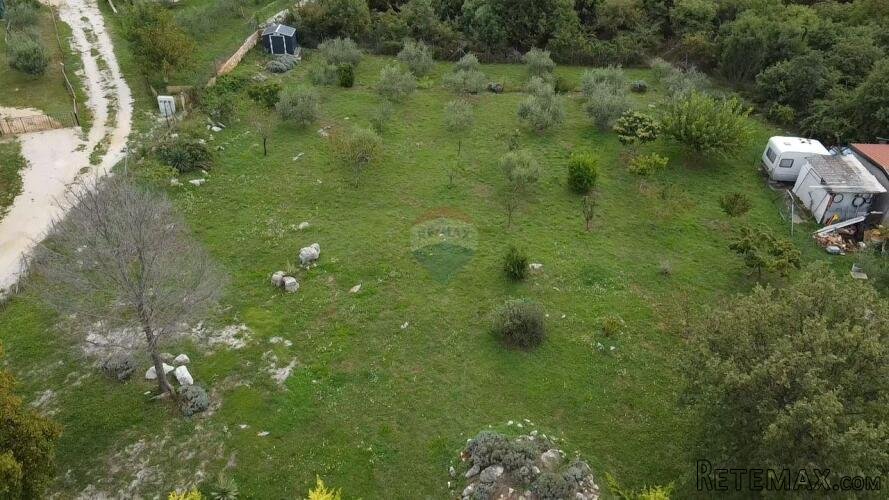 Poreč, okolica, lijepo uređeno i ograđeno poljoprivredno zem - 2