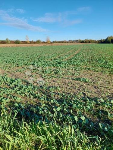 Zemljište u industrijskoj zoni - 2