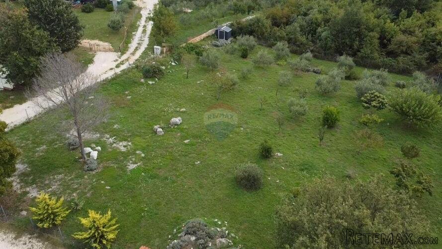 Poreč, okolica, lijepo uređeno i ograđeno poljoprivredno zem - 3