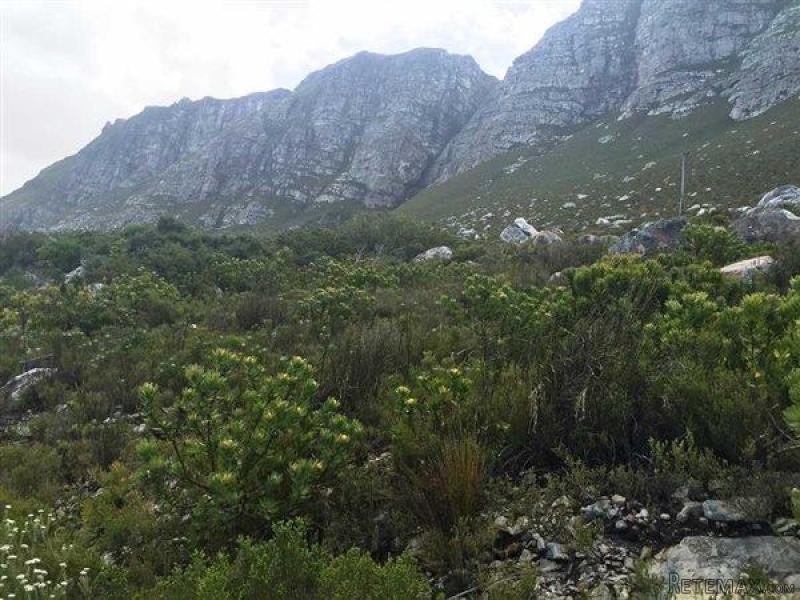 Bettys Bay Vacant Land, Bettys Bay