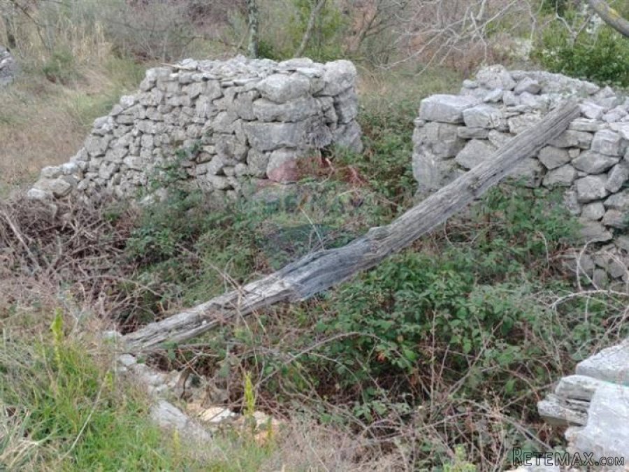 BRSEČ - GOLOVIK - STARINA ZA ADAPTACIJU - 5