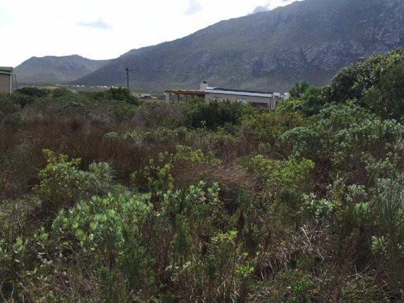 Bettys Bay Vacant Land, Bettys Bay - 2