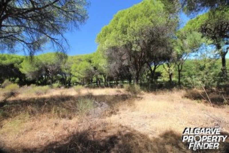 Te Koop: Bouwkavel In Centraal Algarve.. - 2